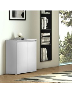 Mobile multiuso scarpiera 2 ante basso Bianco