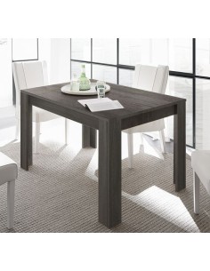 Tavolo allungabile Titanio