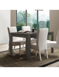 Tavolo allungabile Titanio 2