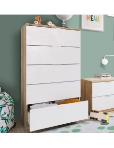 Cassettiera 5 cassetti Rovere / Bianco opaco