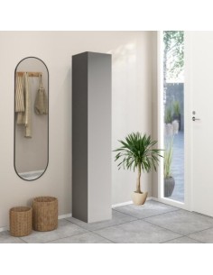 Colonna soggiorno/ingresso stretta 1 anta Ardesia