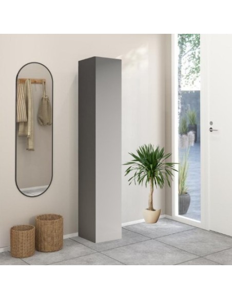 Colonna soggiorno/ingresso stretta 1 anta Ardesia