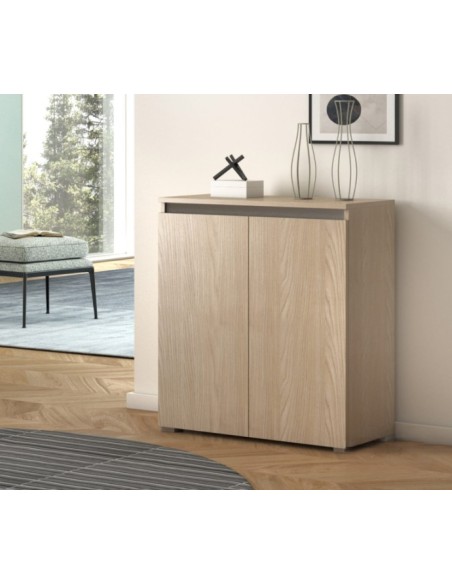 Mobile multiuso scarpiera 2 ante basso Olmo