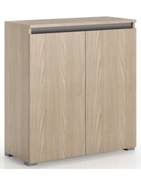 Mobile multiuso scarpiera 2 ante basso Olmo