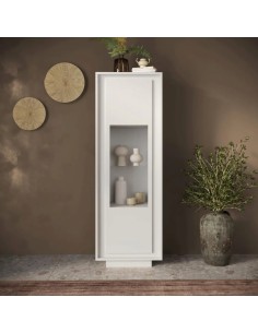 Vetrina 1 anta Bianco opaco