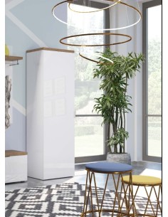 Armadio 1 anta ingresso - 5 ripiani - 1 tubo appendiabiti Bianco lucido/Rovere castagno 2