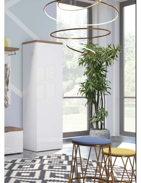 Armadio 1 anta ingresso - 5 ripiani - 1 tubo appendiabiti Bianco lucido/Rovere castagno