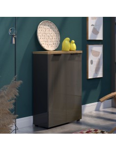 Mobile scarpiera ingresso 2 ante Antracite lucido/Rovere chiaro