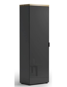 Armadio 1 anta ingresso - 5 ripiani - 1 tubo appendiabiti Antracite lucido/Rovere chiaro 2