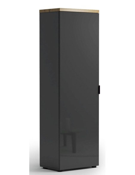 Armadio 1 anta ingresso - 5 ripiani - 1 tubo appendiabiti Antracite lucido/Rovere chiaro