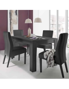 Tavolo allungabile Nero frassinato (Sedie escluse)