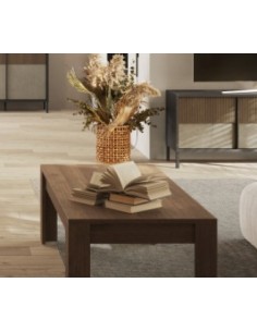 Tavolino basso soggiorno Mecure 2