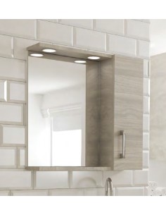 Specchio 1 anta contenitore con led rovere grigio