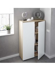 Mobile ufficio 2 ante 2